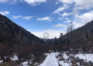 小猫钓鱼正版下载中文版